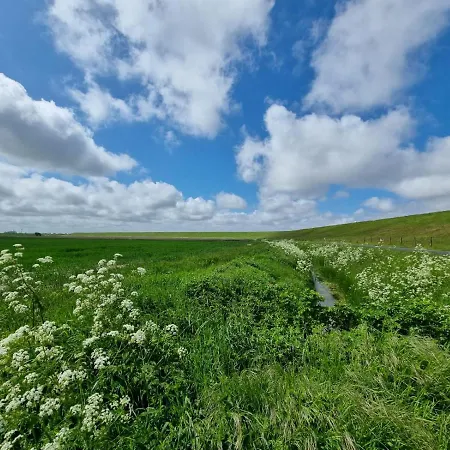 Westwind * Neßmersiel